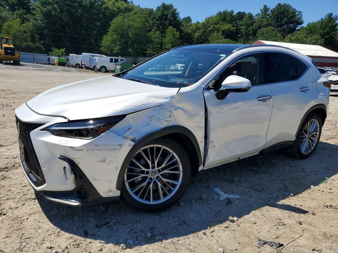 2024 LEXUS NX 350H