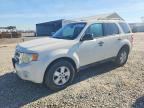 2009 FORD ESCAPE