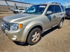 2010 FORD ESCAPE