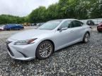 2019 LEXUS ES