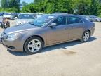 2011 CHEVROLET MALIBU