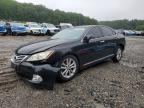 2010 LEXUS ES