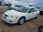 2004 DODGE STRATUS