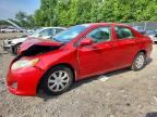 2009 TOYOTA COROLLA