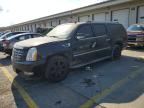 2007 CADILLAC ESCALADE