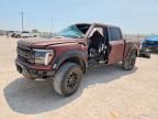 2024 FORD F150