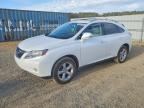 2010 LEXUS RX