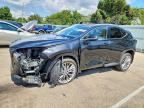 2025 LEXUS NX