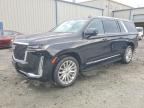 2023 CADILLAC ESCALADE
