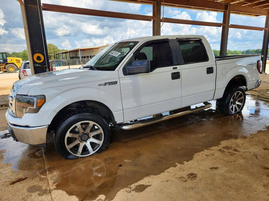 2010 FORD F150