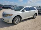 2010 TOYOTA VENZA