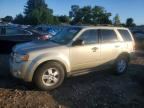 2010 FORD ESCAPE