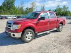 2013 FORD F150