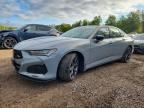 2024 ACURA TLX
