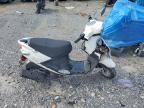 2021 GENUINE SCOOTER CO. BUDDY
