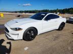 2023 FORD MUSTANG
