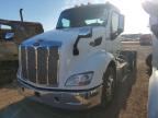 2019 PETERBILT 579