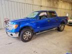 2014 FORD F150