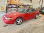 2000 FORD MUSTANG