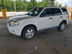 2009 FORD ESCAPE