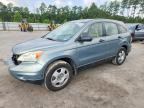 2010 HONDA CR-V