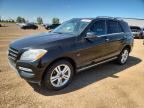 2012 MERCEDES-BENZ ML