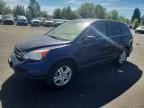 2010 HONDA CR-V