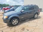 2008 FORD ESCAPE