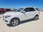 2019 MERCEDES-BENZ GLE
