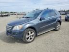 2011 MERCEDES-BENZ ML