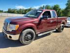 2010 FORD F150