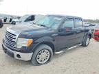 2013 FORD F150