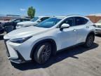 2025 LEXUS NX 350H