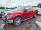 2013 FORD F150