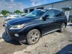 2013 LEXUS RX