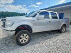 2010 FORD F150