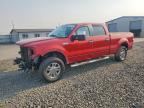 2008 FORD F150