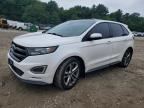 2015 FORD EDGE