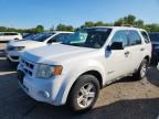 2011 FORD ESCAPE
