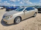 2010 LEXUS ES