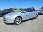 2013 FORD FOCUS