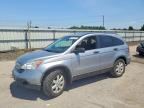 2008 HONDA CR-V