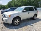 2009 FORD ESCAPE