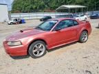 2001 FORD MUSTANG