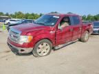 2013 FORD F150