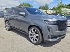 2023 CADILLAC ESCALADE