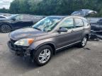 2010 HONDA CR-V