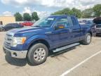 2014 FORD F150
