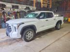 2024 TOYOTA TUNDRA