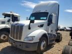 2019 PETERBILT 579